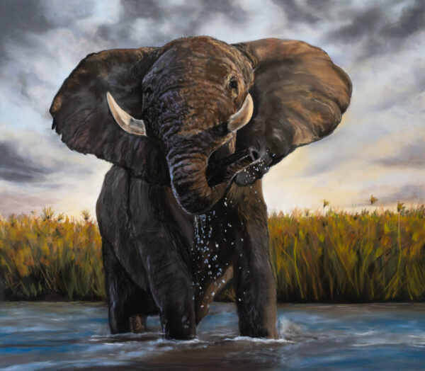 Elephant