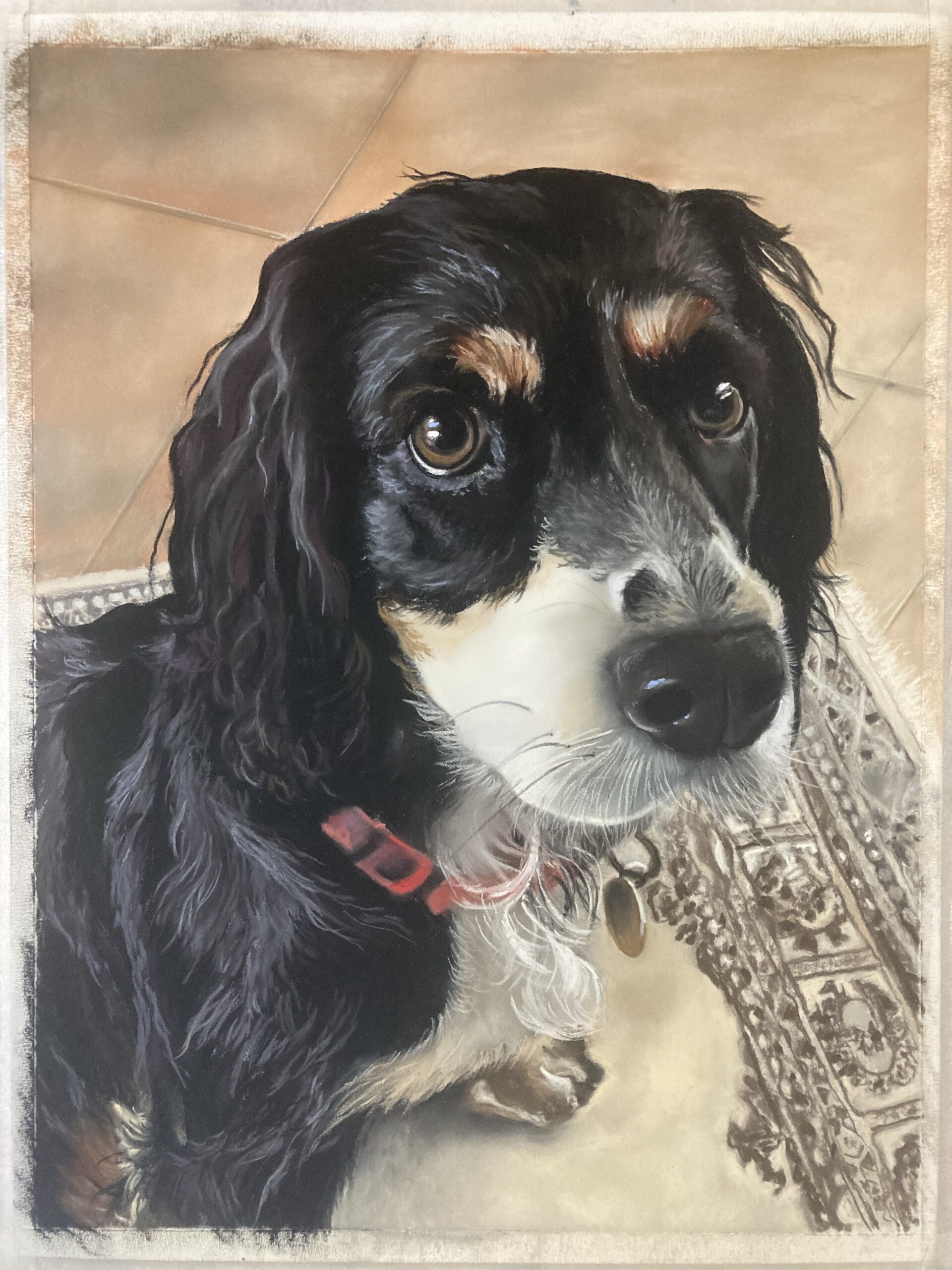 dog