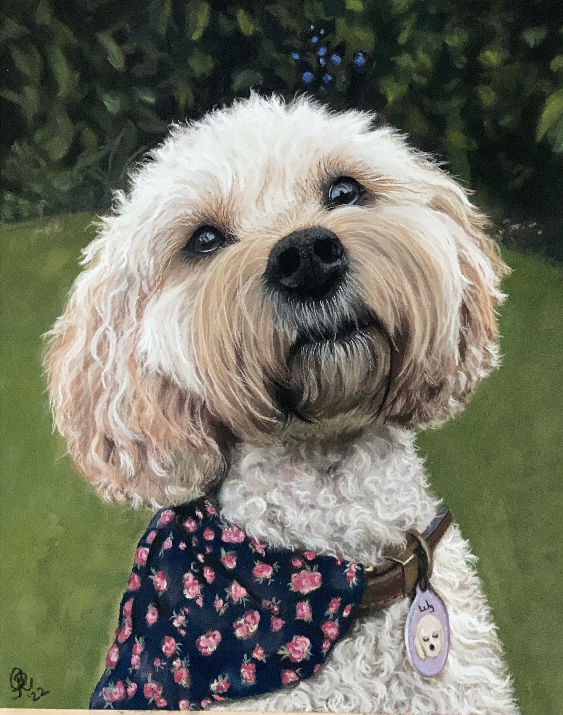 dog