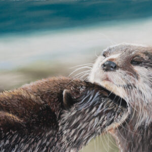 Otters