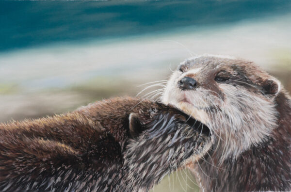 Otters