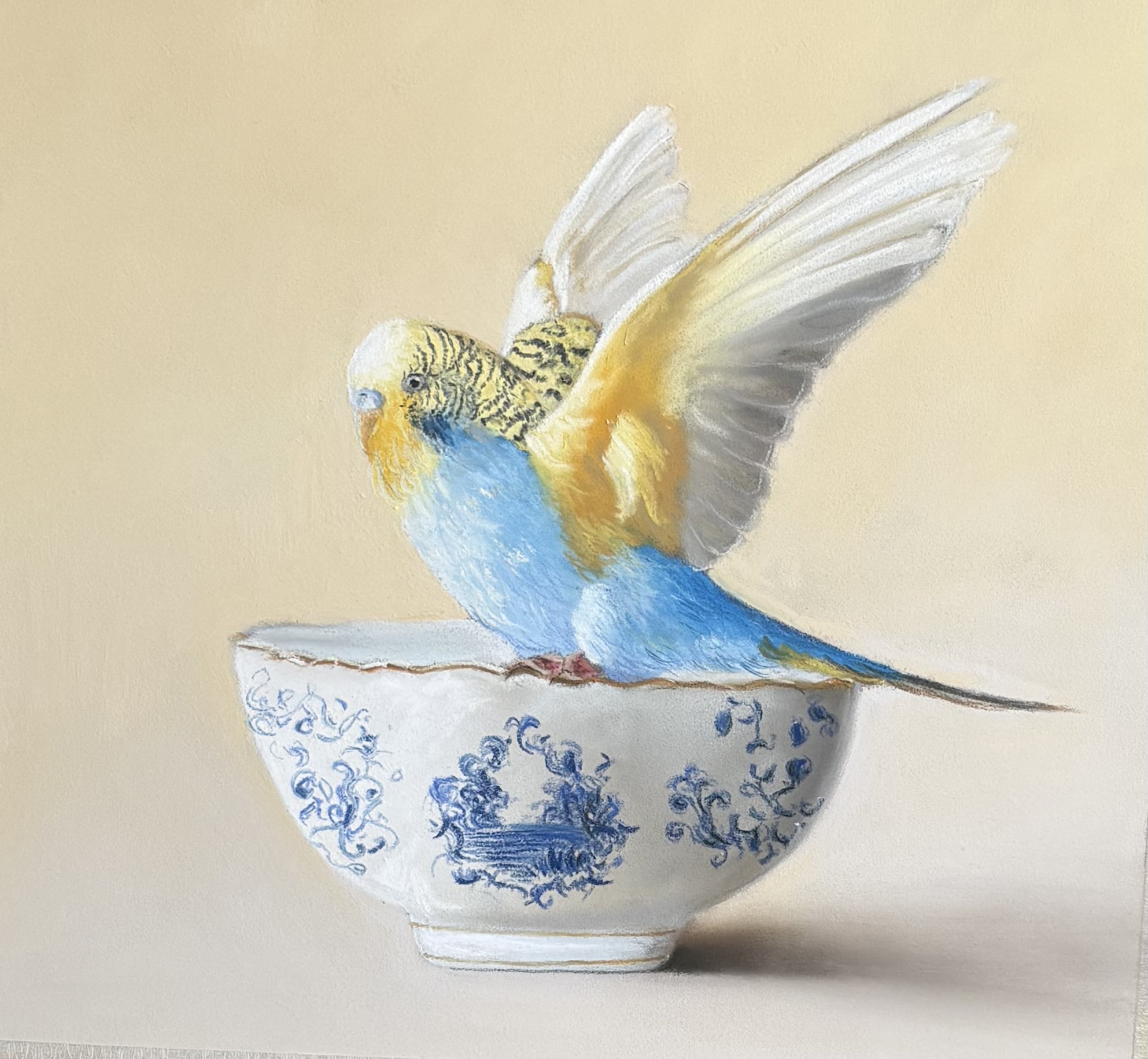 “Pastel painting of a blue and yellow budgie with raised wings perched on a patterned teacup.”